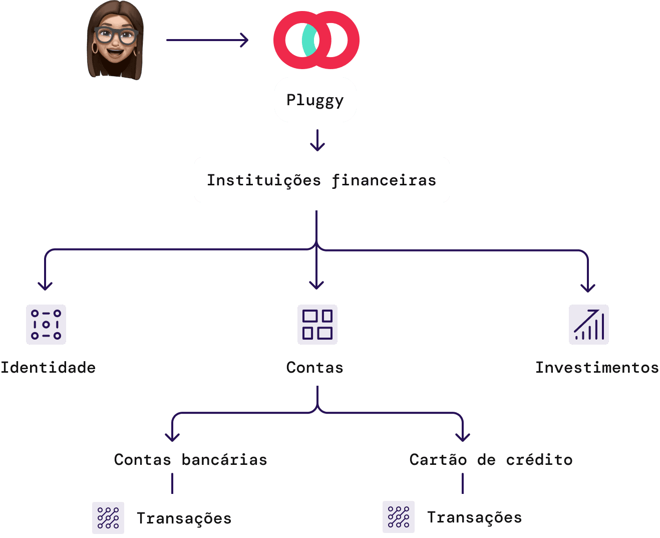 Pluggy Api Diagram