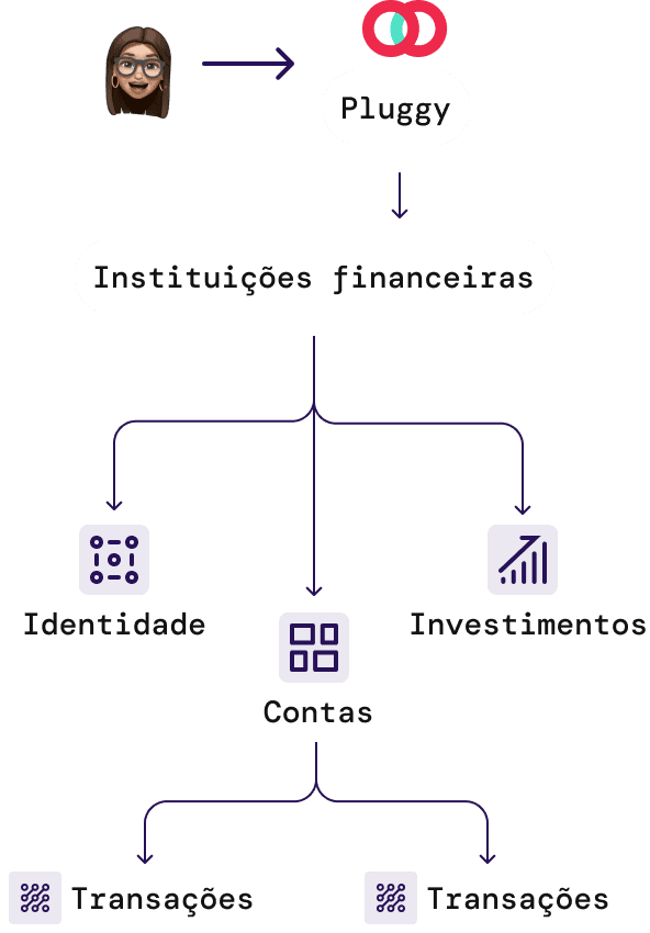 Pluggy Api Diagram